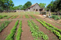 Garden at Sauer-Beckmann Farmstead of Lyndon B. Johnson State Park. Stonewall, TX.