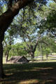 Root cellar & windmill at Lyndon B. Johnson State Park. Stonewall, TX.