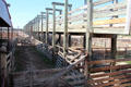 Historic cattle pens of Fort Worth Stock Yards. Fort Worth, TX.