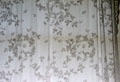 Lace curtain detail at Neill-Cochran House Museum. Austin, TX.