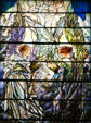 Angels of Annunciation in stained glass window by Tiffany Studios in St. Paul's Episcopal Church. Richmond, VA