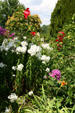 Flower displays at Maymont. Richmond, VA.