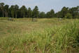 Union Fort Steadman, lost & recaptured March 25, 1865, at Petersburg National Battlefield. Petersburg, VA.