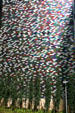 Metallic colored tile mural on Fifth & Madison Residence. Seattle, WA.