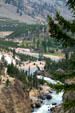 Landscape near Tower Fall in Yellowstone National Park. WY.