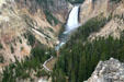 Lower Falls on Yellowstone River in Grand Canyon of Yellowstone National Park. WY.