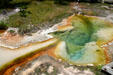 Plants around boiling colored pool of West Thumb Geyser Basin on Yellowstone Lake in Yellowstone National Park. WY.