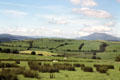 Hilly landscape in Pentrefoelus, a historic village in Conwy County, with grazing sheep & mountains in the background. Pentrefoelus, Wales.