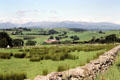 Pasturelands in Pentrefoelus with mortarless stacked stone walls. Pentrefoelus, Wales.