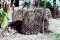 Fowl kept in baskets. Bali, Indonesia.
