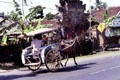 Horse-drawn cart moves past houses. Bali, Indonesia.