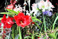Flowers in orchid market. Bali, Indonesia.