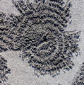 Pattern of sand balls excavated by crabs living in holes at center. Bali, Indonesia.