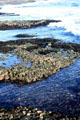 Waves over reefs. Bali, Indonesia.