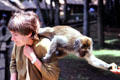 Monkey climbs on visitor at Balinese temple. Bali, Indonesia.